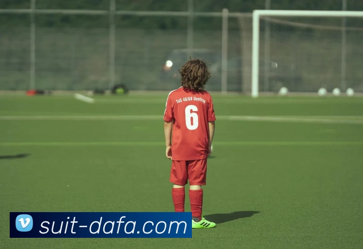 大发官网APP 体育赛事宣传图